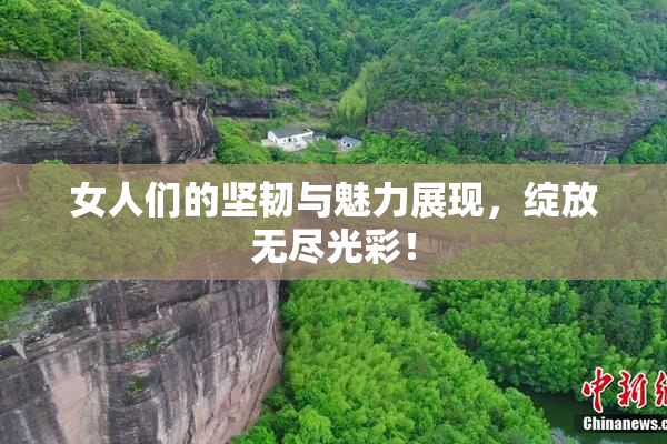 女人们的坚韧与魅力展现，绽放无尽光彩！