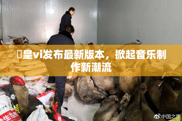 嘼皇vi发布最新版本，掀起音乐制作新潮流