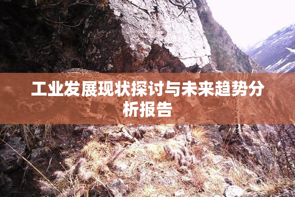 工业发展现状探讨与未来趋势分析报告