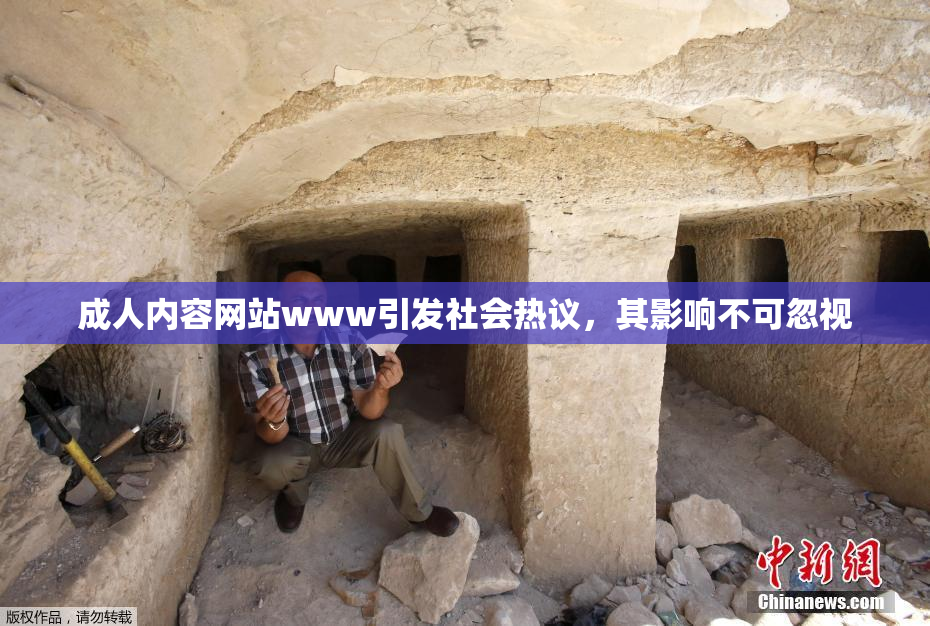 成人内容网站www引发社会热议，其影响不可忽视