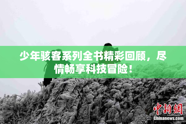 少年骇客系列全书精彩回顾，尽情畅享科技冒险！