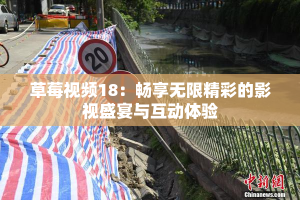 草莓视频18：畅享无限精彩的影视盛宴与互动体验