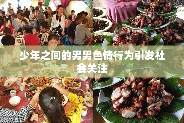 少年之间的男男色情行为引发社会关注