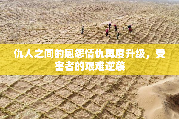 仇人之间的恩怨情仇再度升级，受害者的艰难逆袭