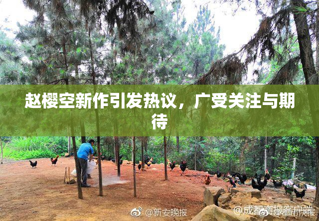 赵樱空新作引发热议，广受关注与期待