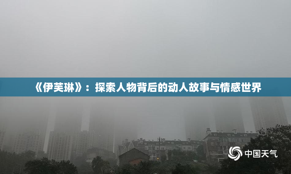 《伊芙琳》：探索人物背后的动人故事与情感世界