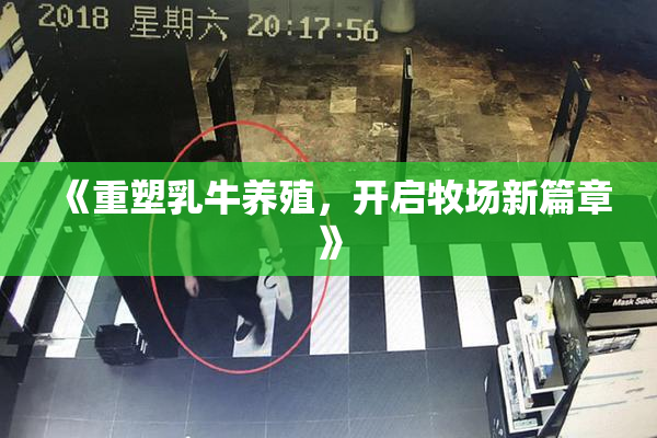 《重塑乳牛养殖，开启牧场新篇章》