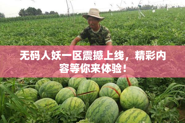 无码人妖一区震撼上线，精彩内容等你来体验！