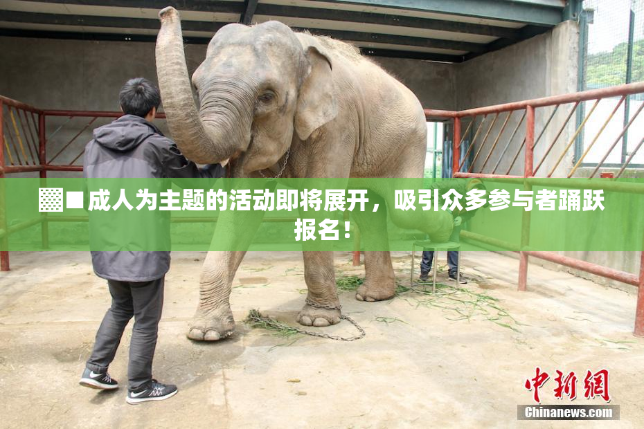 ▓■成人为主题的活动即将展开，吸引众多参与者踊跃报名！