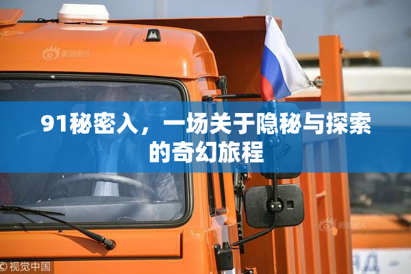 91秘密入，一场关于隐秘与探索的奇幻旅程
