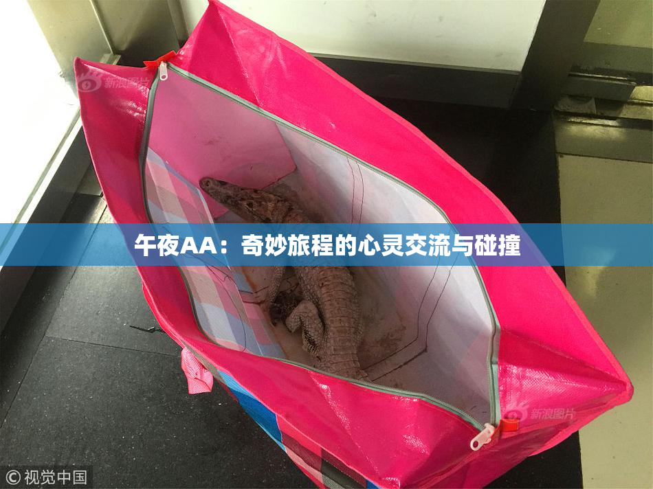 午夜AA：奇妙旅程的心灵交流与碰撞