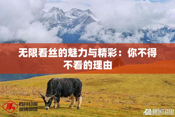 无限看丝的魅力与精彩：你不得不看的理由