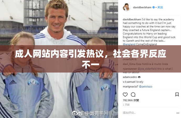 成人网站内容引发热议，社会各界反应不一