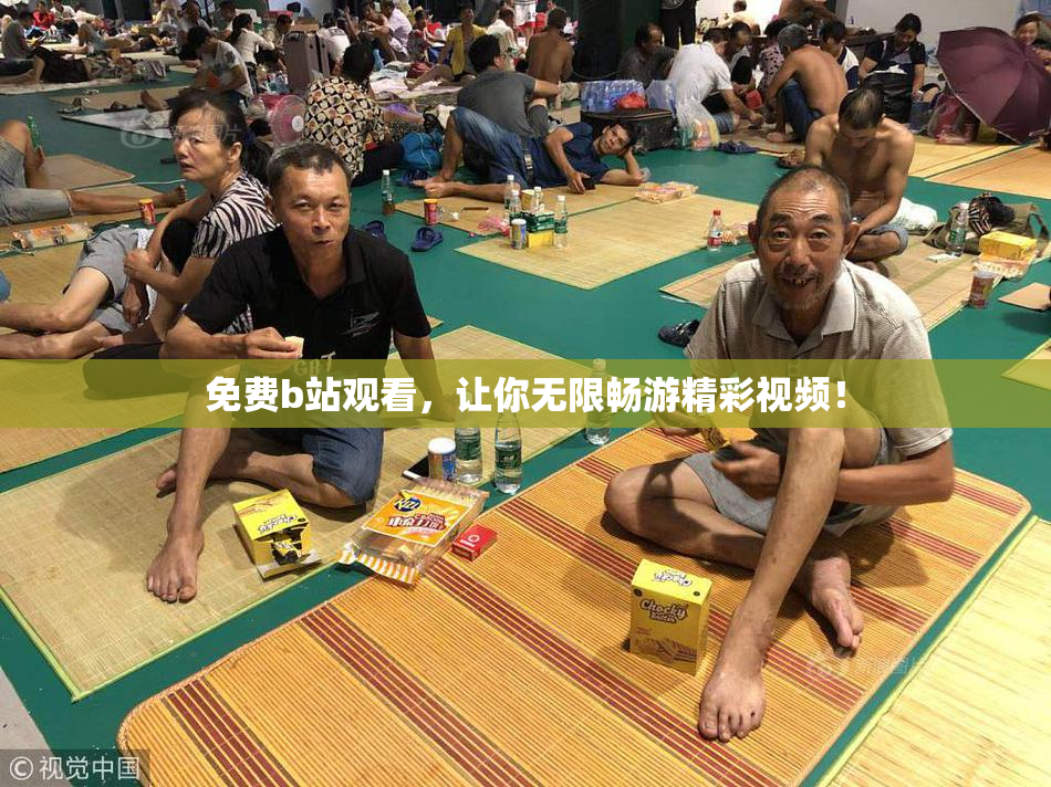 免费b站观看，让你无限畅游精彩视频！