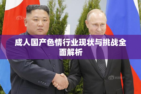 成人国产色情行业现状与挑战全面解析
