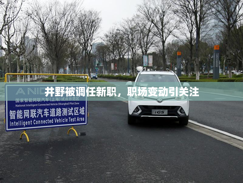 井野被调任新职，职场变动引关注