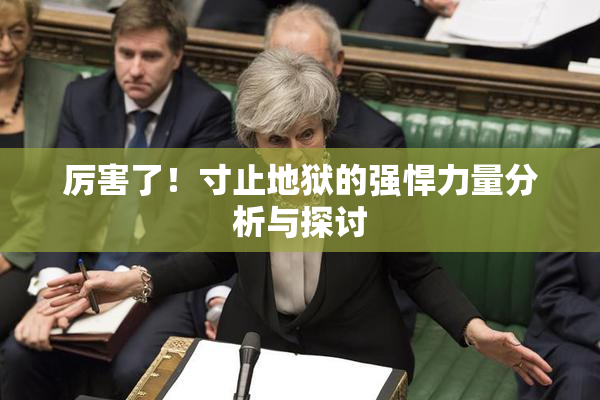厉害了！寸止地狱的强悍力量分析与探讨