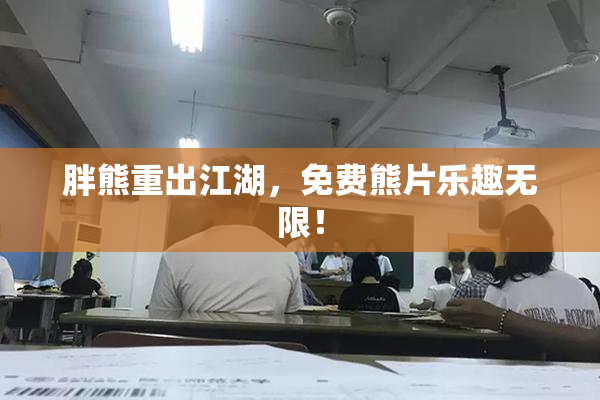 胖熊重出江湖，免费熊片乐趣无限！