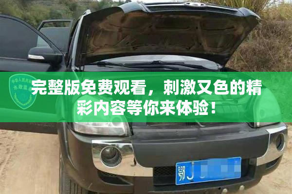 完整版免费观看，刺激又色的精彩内容等你来体验！