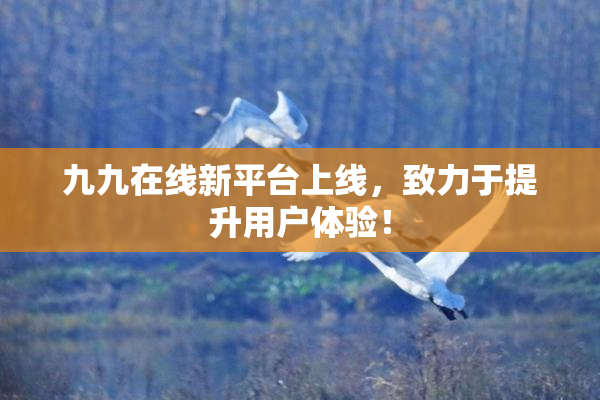 九九在线新平台上线，致力于提升用户体验！