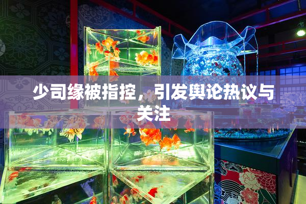 少司缘被指控，引发舆论热议与关注