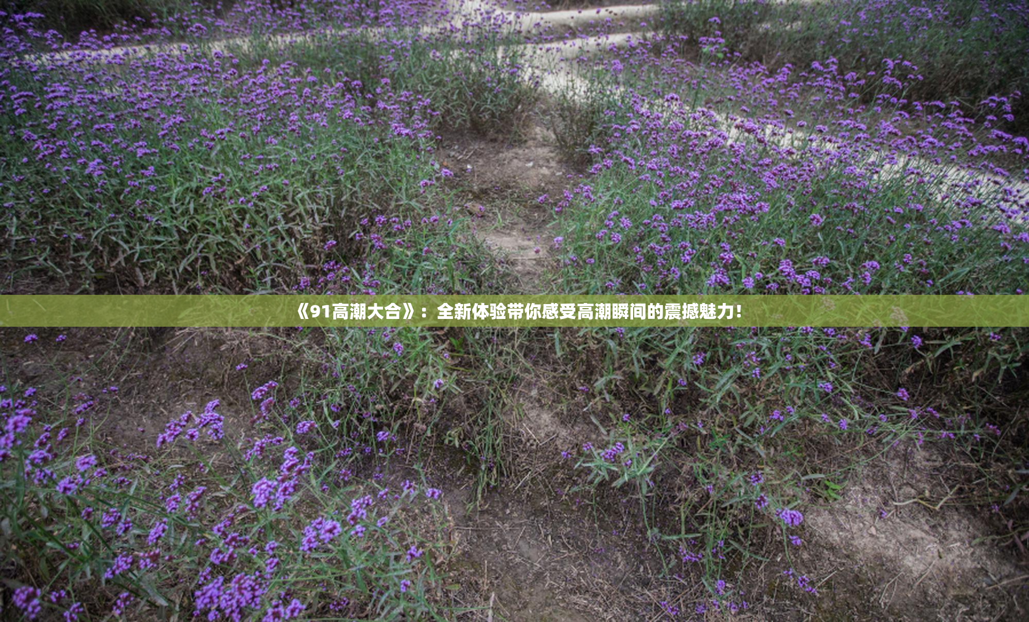 《91高潮大合》：全新体验带你感受高潮瞬间的震撼魅力！