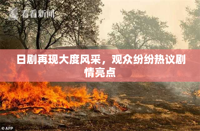 日剧再现大度风采，观众纷纷热议剧情亮点