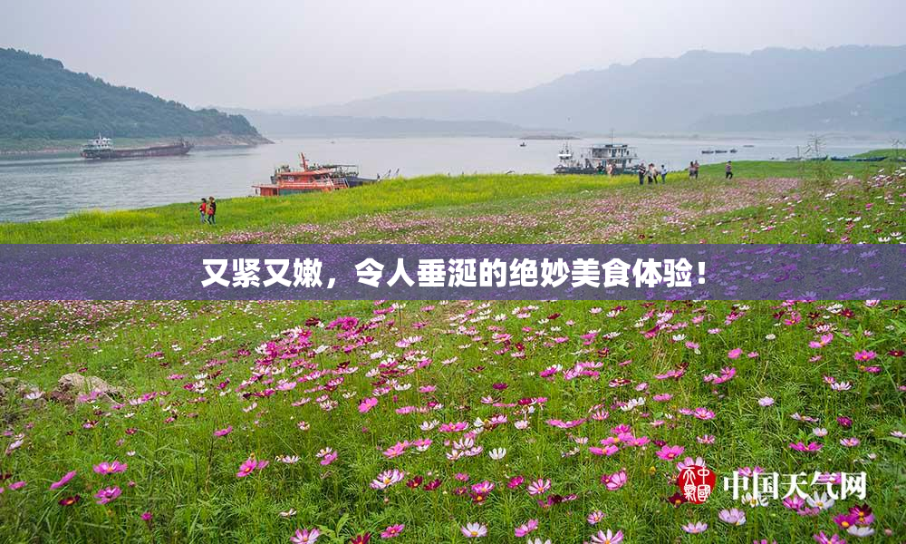 又紧又嫩，令人垂涎的绝妙美食体验！