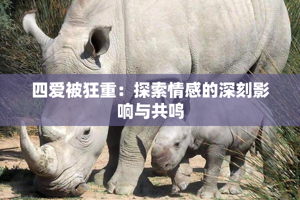 四爱被狂重：探索情感的深刻影响与共鸣