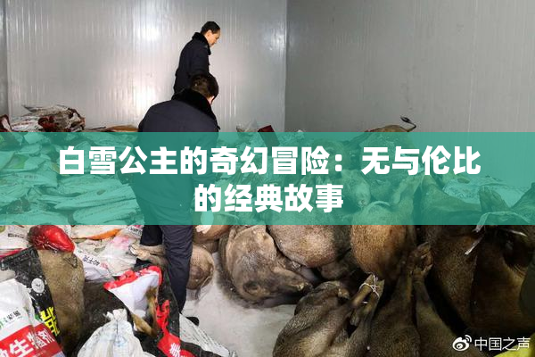 白雪公主的奇幻冒险：无与伦比的经典故事
