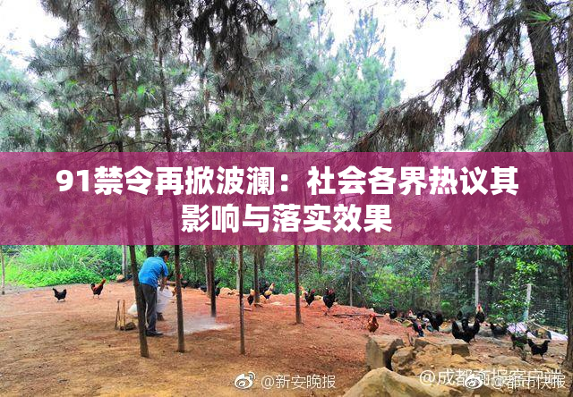 91禁令再掀波澜：社会各界热议其影响与落实效果
