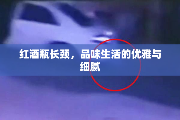 红酒瓶长颈，品味生活的优雅与细腻