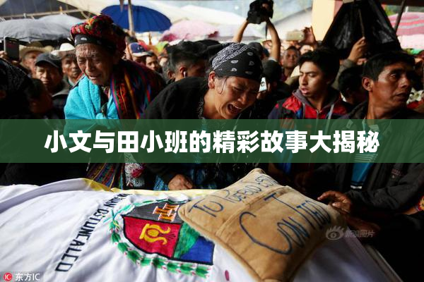 小文与田小班的精彩故事大揭秘