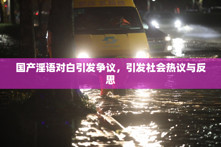 国产淫语对白引发争议，引发社会热议与反思