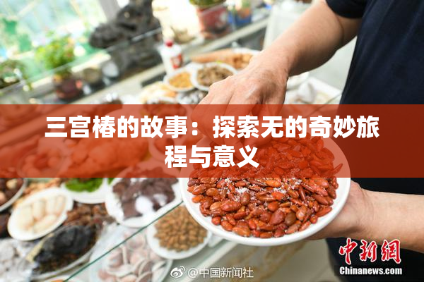 三宫椿的故事：探索无的奇妙旅程与意义