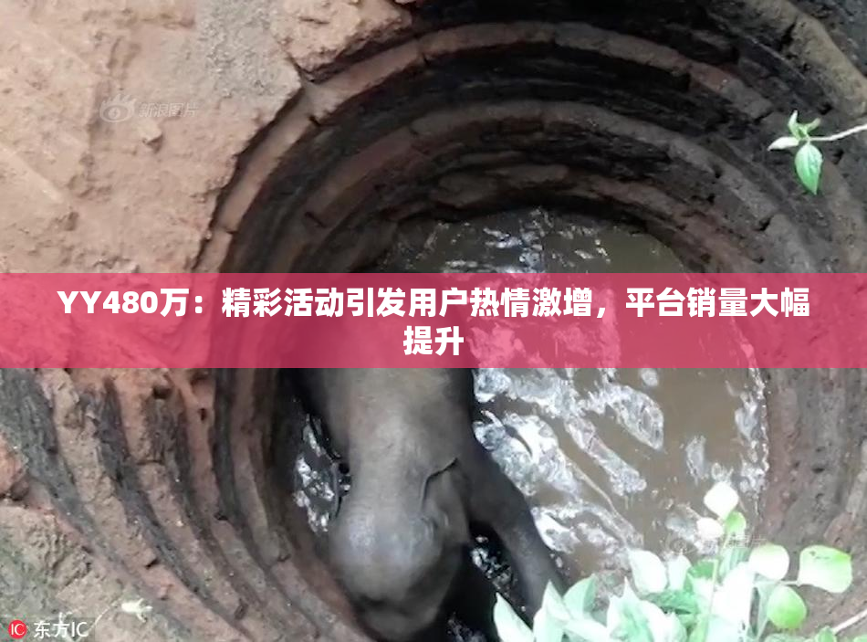 YY480万：精彩活动引发用户热情激增，平台销量大幅提升