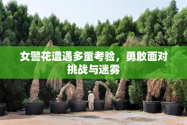 女警花遭遇多重考验，勇敢面对挑战与迷雾