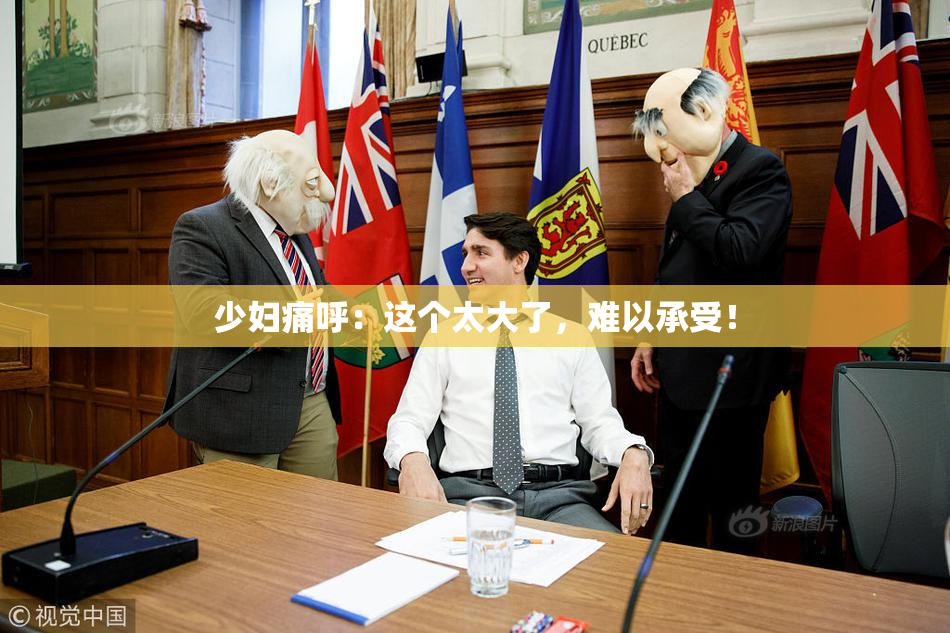 少妇痛呼：这个太大了，难以承受！
