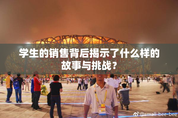 学生的销售背后揭示了什么样的故事与挑战？