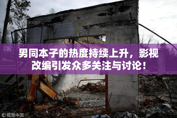 男同本子的热度持续上升，影视改编引发众多关注与讨论！