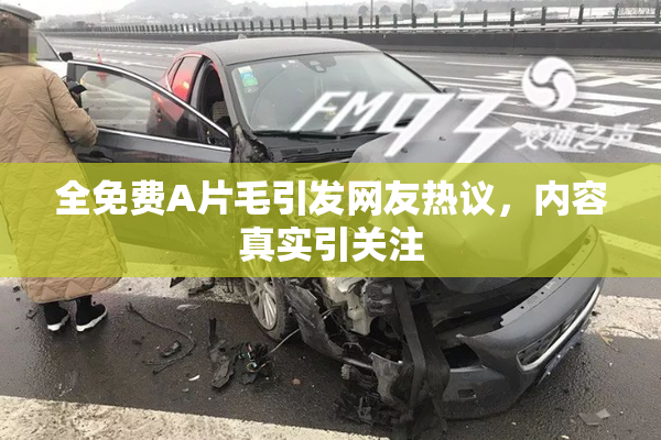 全免费A片毛引发网友热议，内容真实引关注