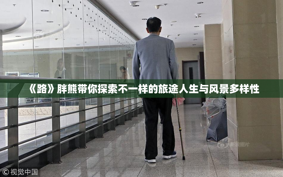 《路》胖熊带你探索不一样的旅途人生与风景多样性