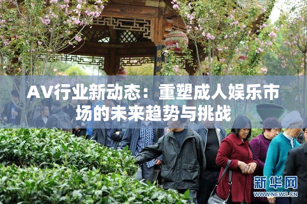 AV行业新动态：重塑成人娱乐市场的未来趋势与挑战