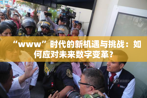 “www”时代的新机遇与挑战：如何应对未来数字变革？