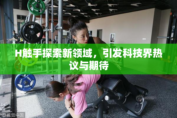 H触手探索新领域，引发科技界热议与期待