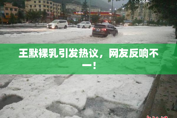 王默裸乳引发热议，网友反响不一！