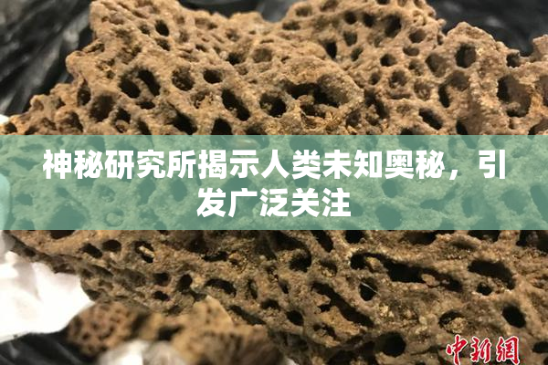 神秘研究所揭示人类未知奥秘，引发广泛关注