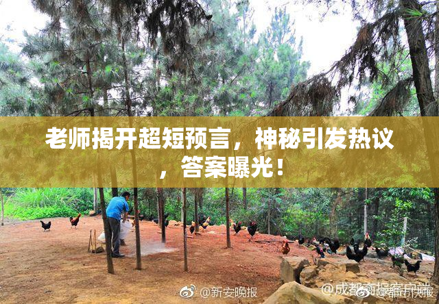 老师揭开超短预言，神秘引发热议，答案曝光！