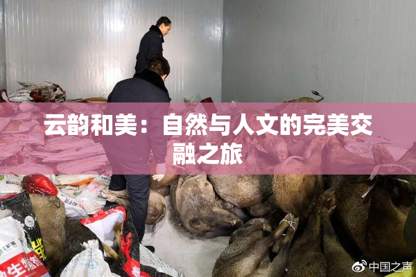 云韵和美：自然与人文的完美交融之旅