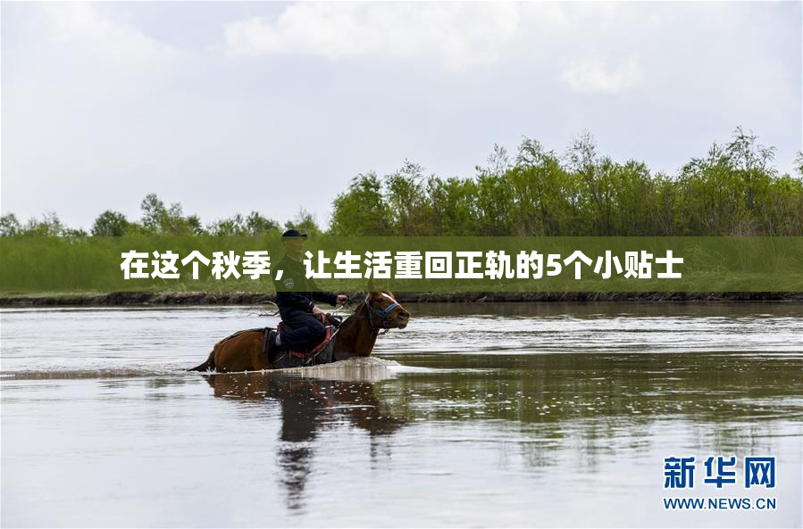 在这个秋季，让生活重回正轨的5个小贴士